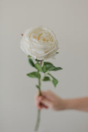 Soft Touch White Rose