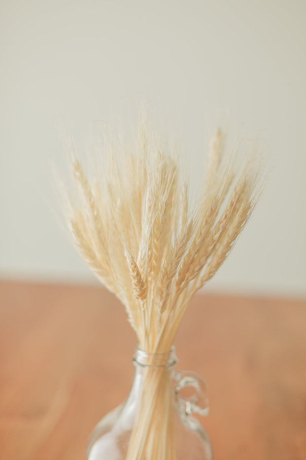 Wheat Bundle (preserved)