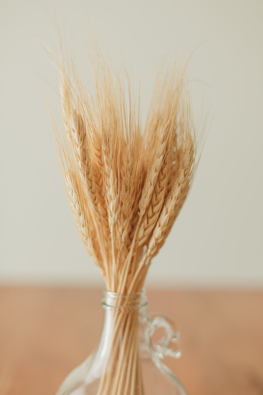 Wheat Bundle (preserved)